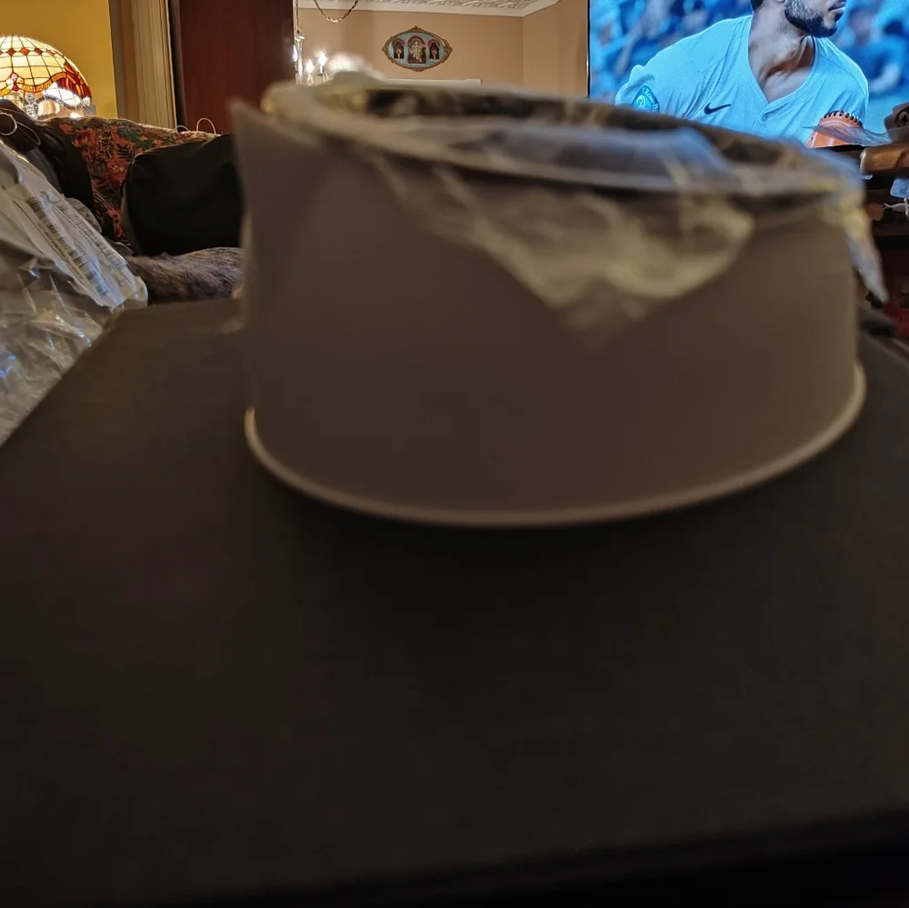 Ergonomic 15° Tilted Cat Bowl - NEW